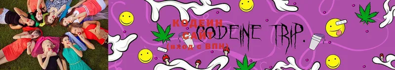 сколько стоит  Лихославль  Кодеин Purple Drank 